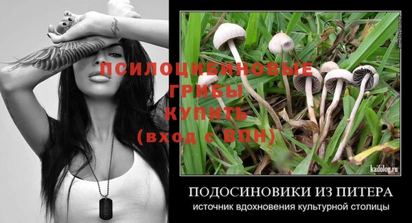 хмурый Заводоуковск