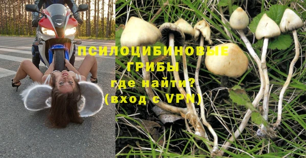 прущая мука Заволжск