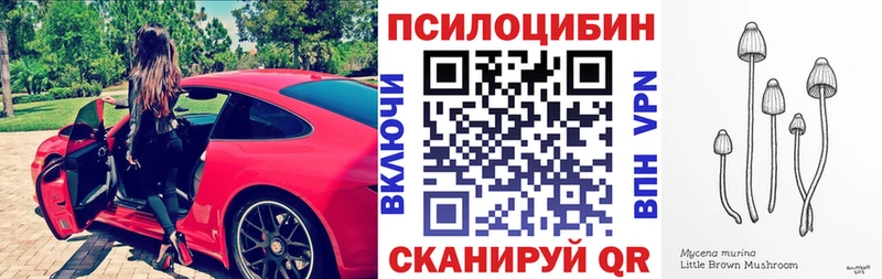 Псилоцибиновые грибы мухоморы  наркошоп  Инта 